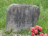 image of grave number 492445